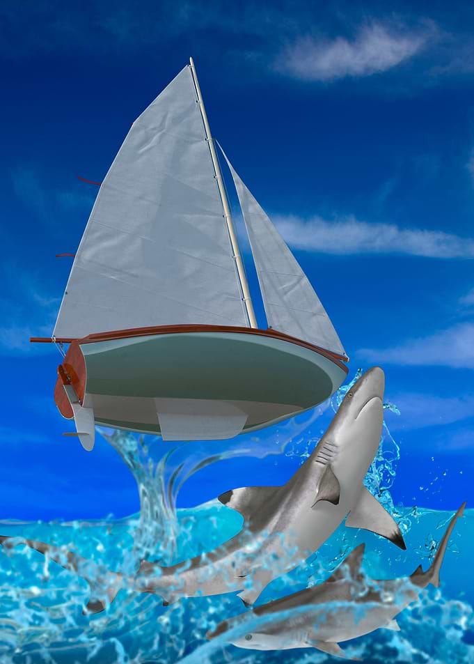shark attacks