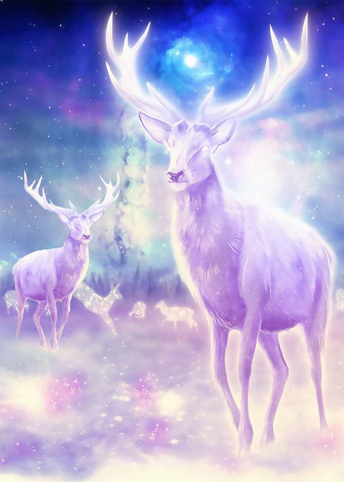 Deer