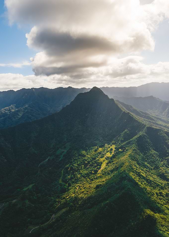 Dreams of Hawaii