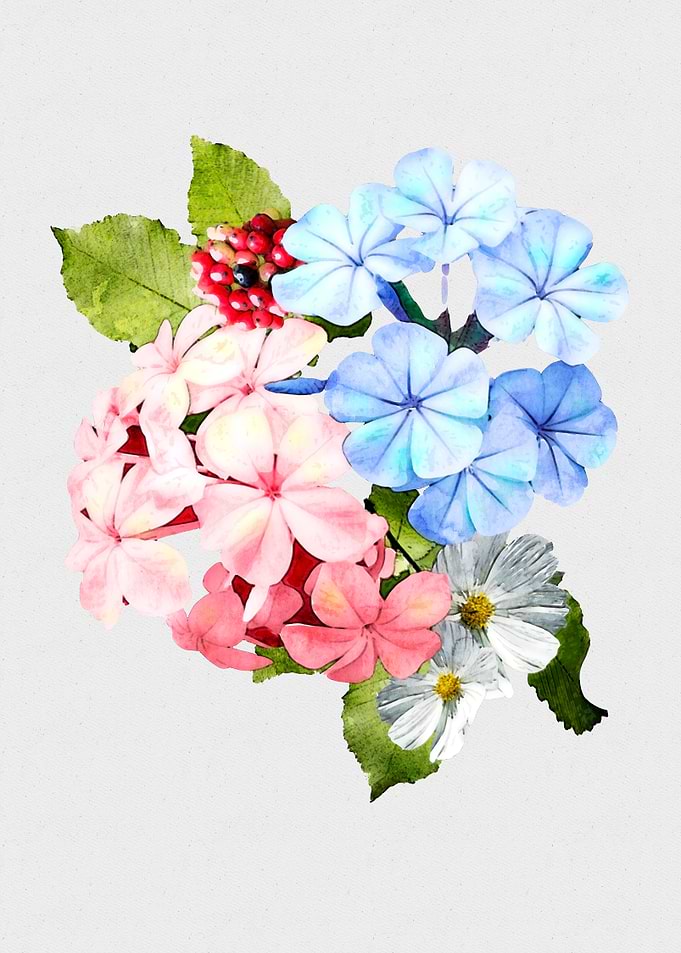 Wishing for Spring