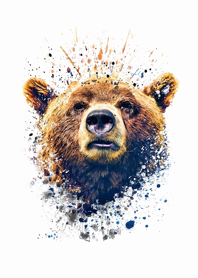 Bear face splatter V2