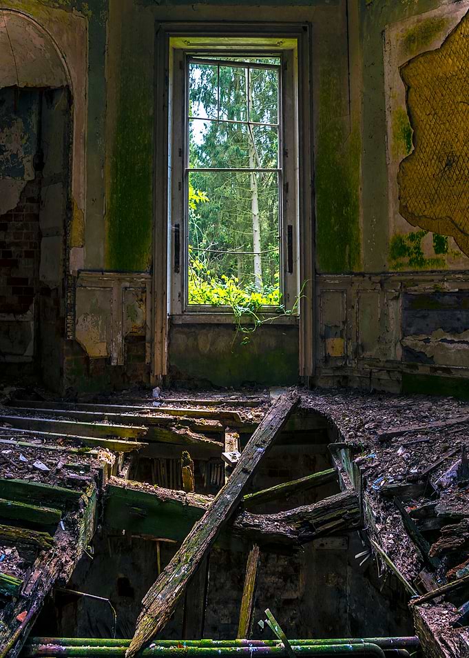 Room with a view