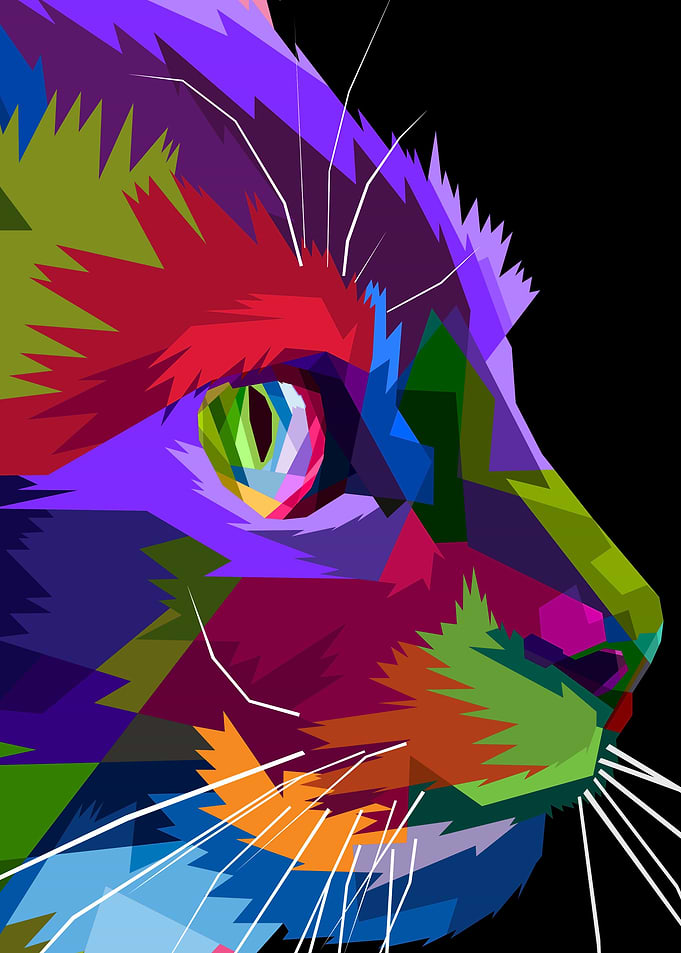 close up of side cat
