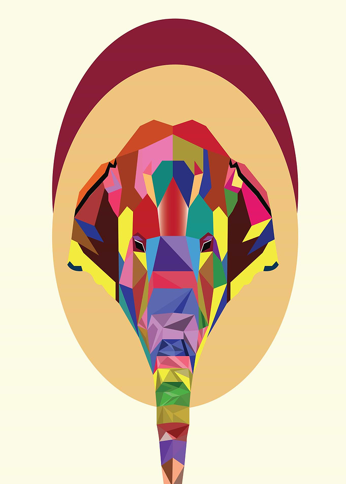 Elephant colorful