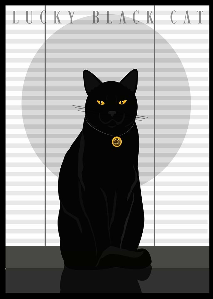 Lucky Black Cat