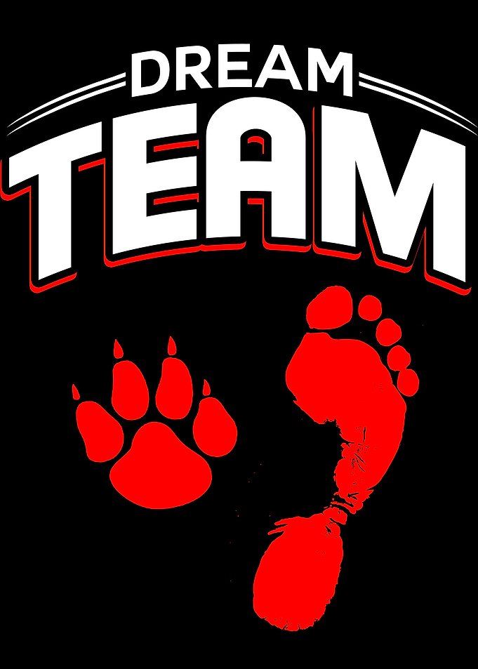 Dream Team Cat