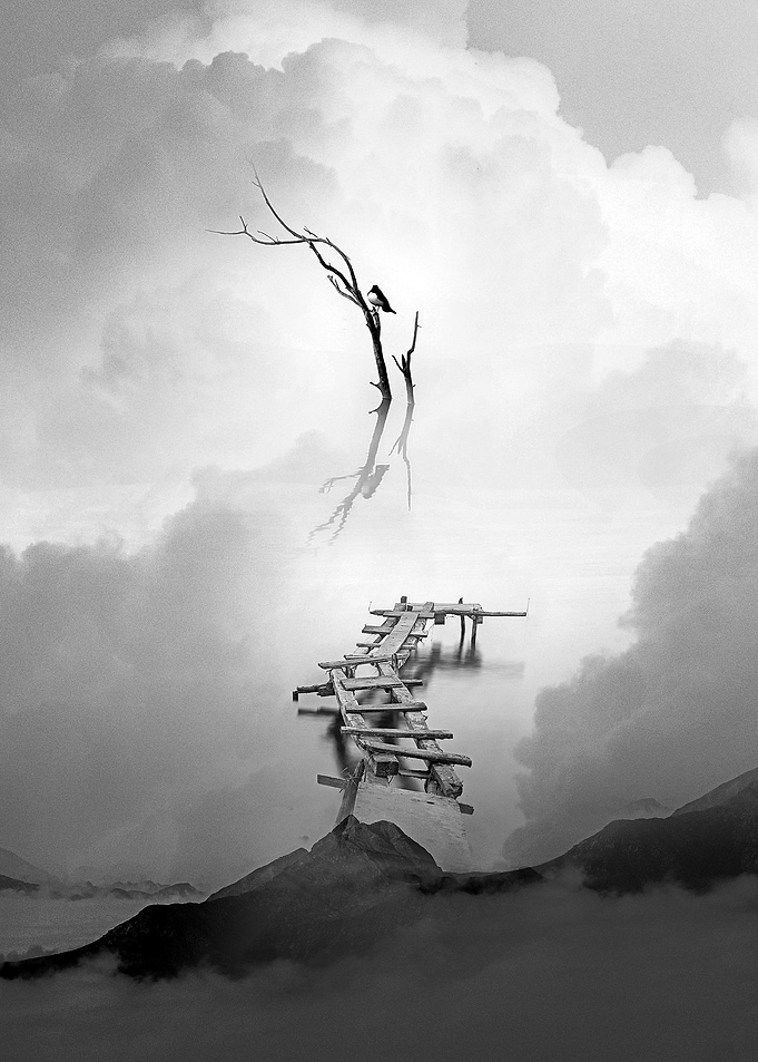 Black and White Faith Bird