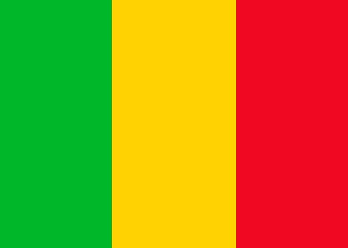 MALI flag