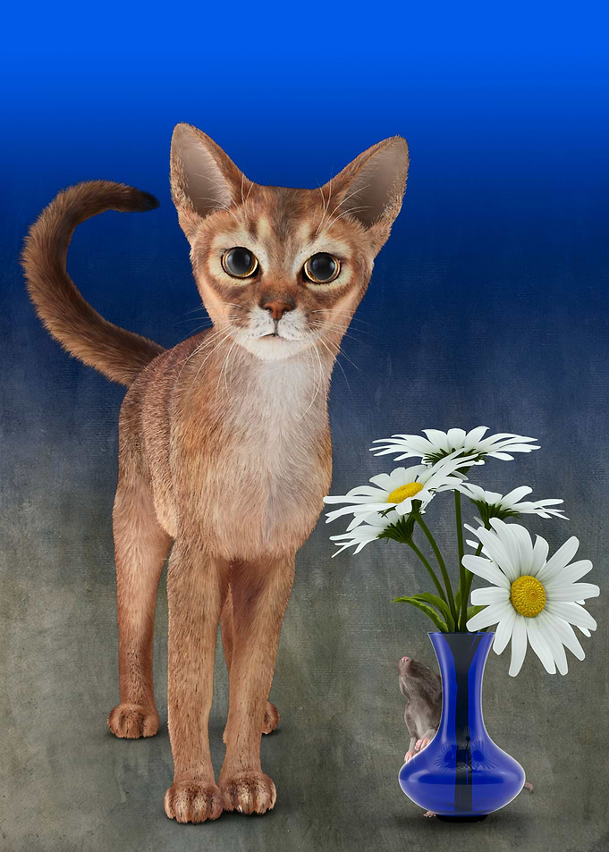 Cat and Mouse