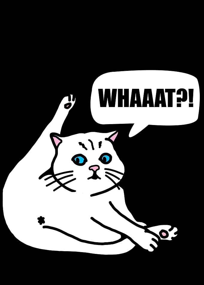 Cat Licking Whaaat