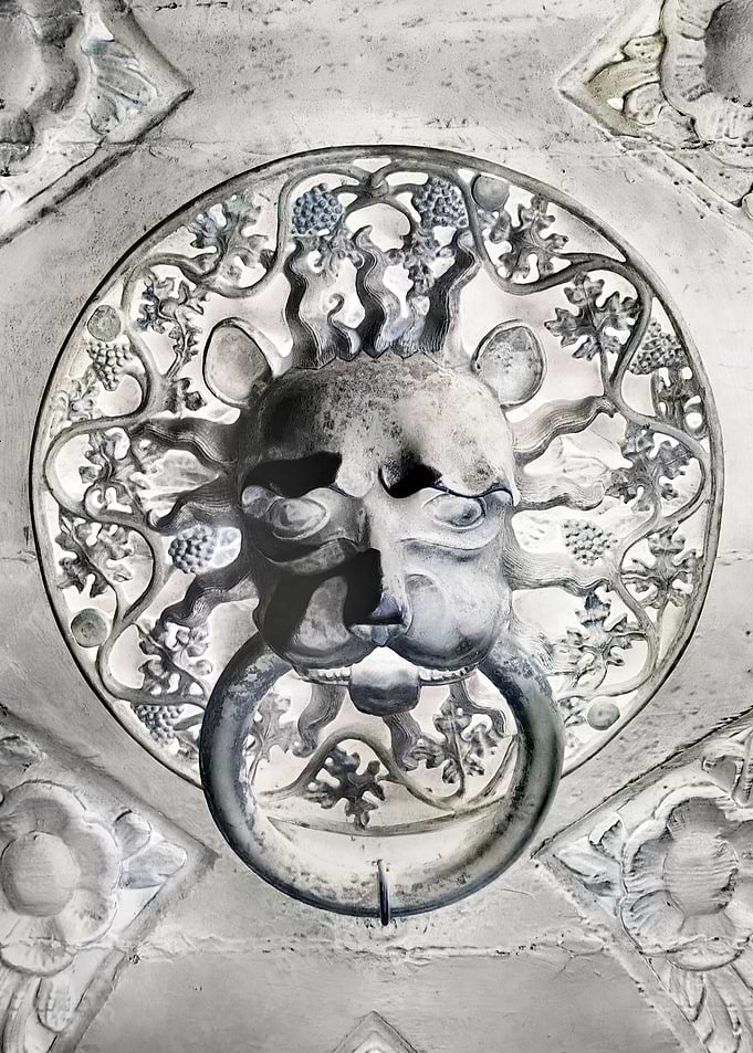Lion white door