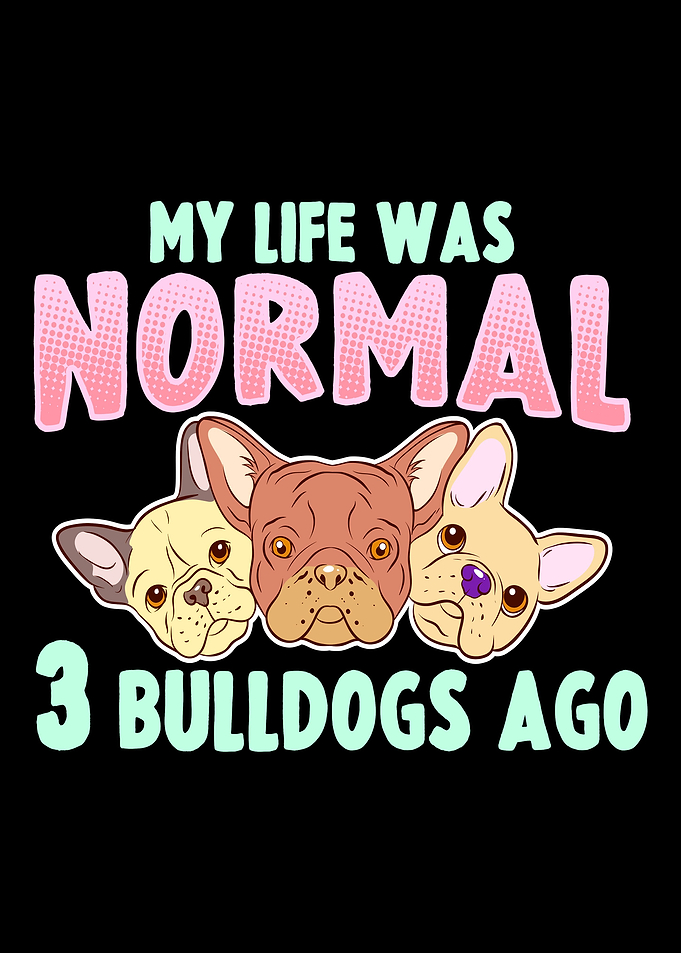 French Bulldog Dog