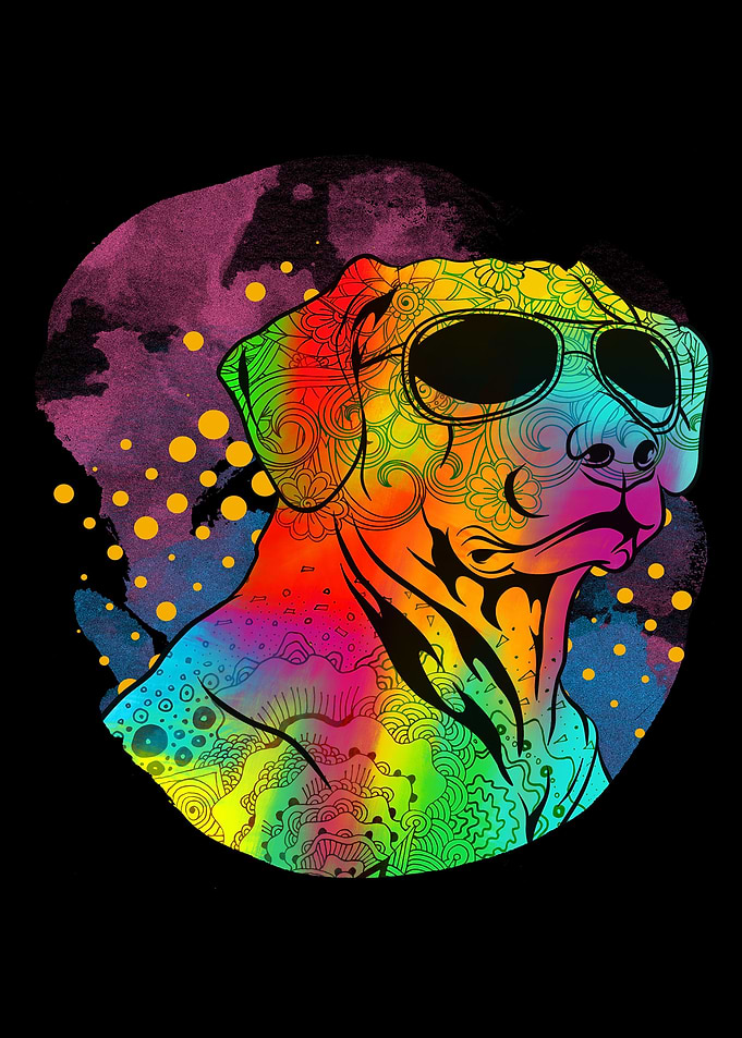 Rhodesian Ridgeback
