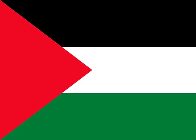 PALESTINE flag