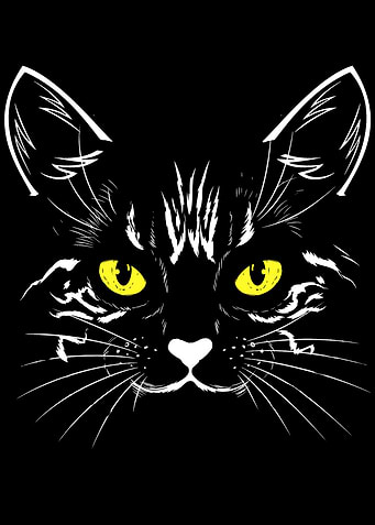 Black Cat