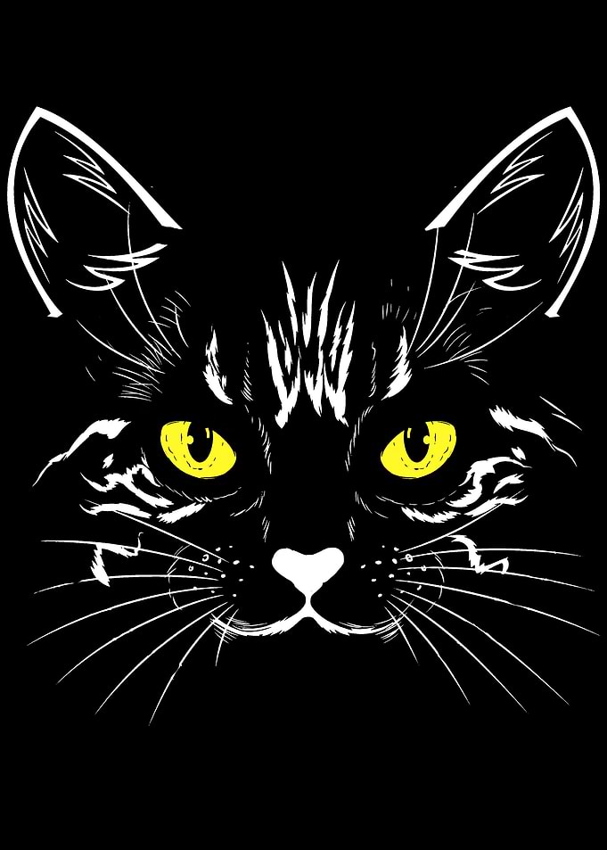 Black Cat