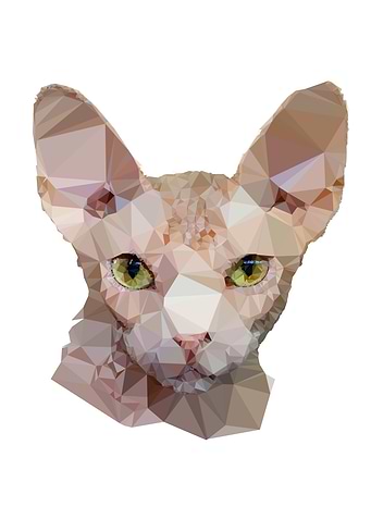 Poly Sphinx Cat