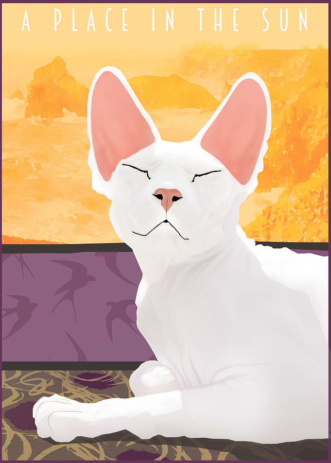 Sphynx Cat in Sun
