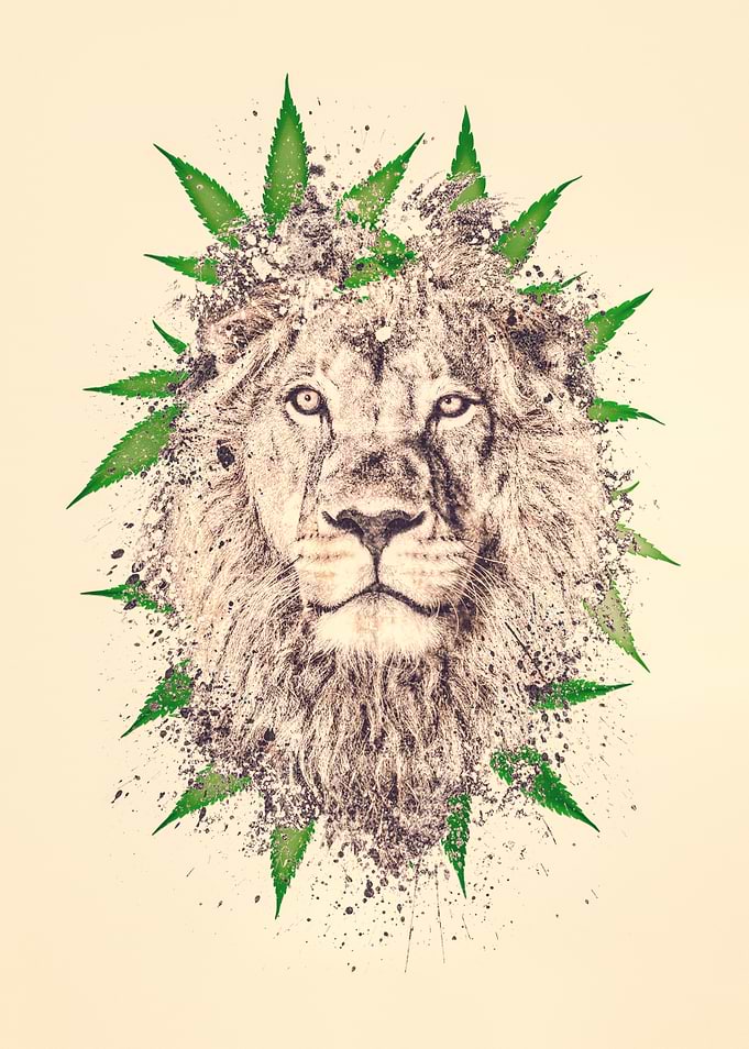 Ganja Lion