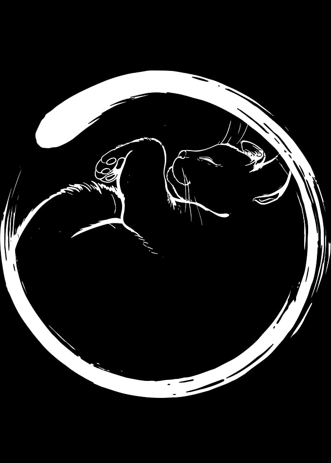 Cat Circle