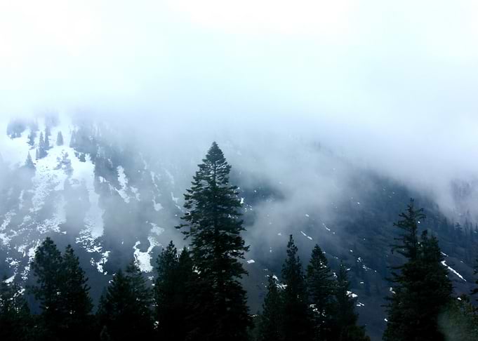 Wilderness