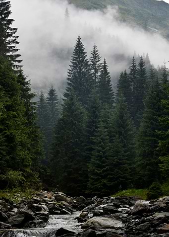 Mountain River