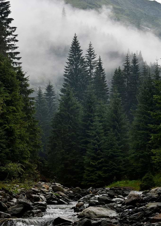 Mountain River