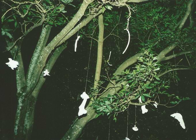 bones