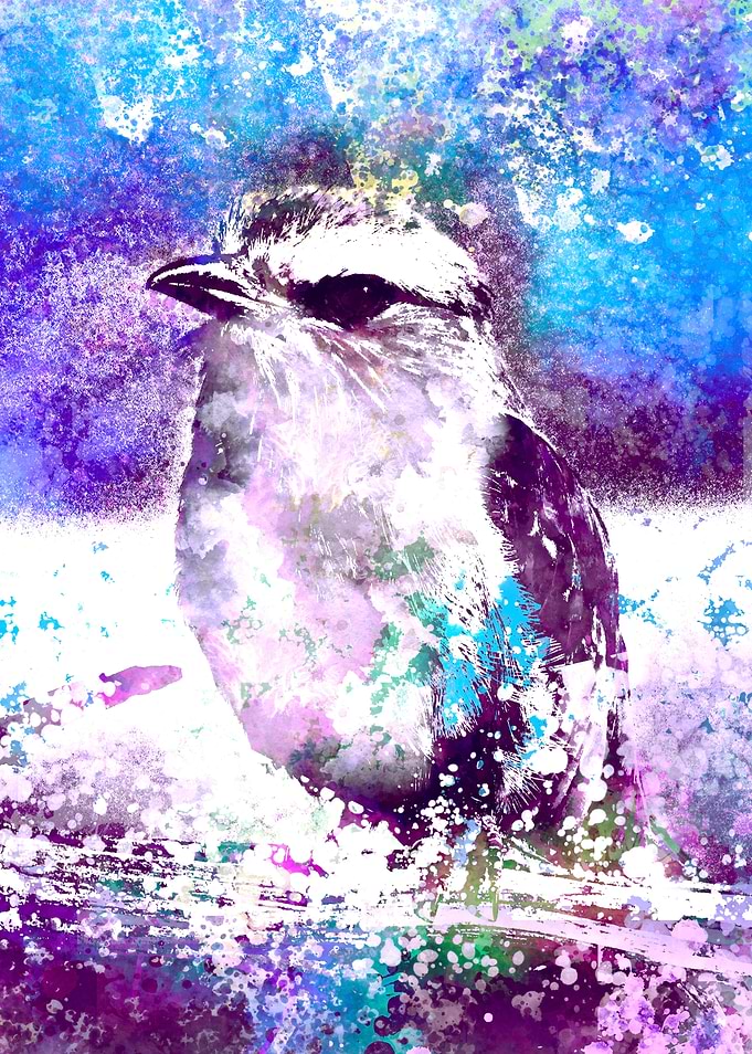 Bird splash