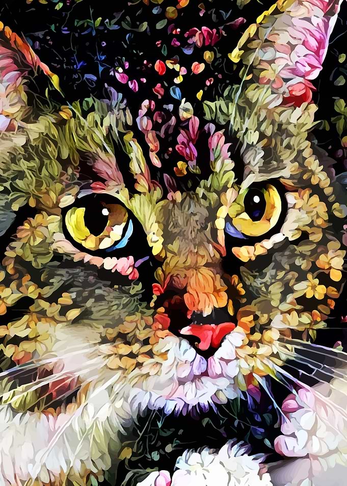 Catterfly