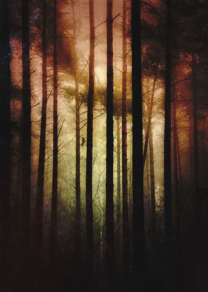 Forbidden Societies