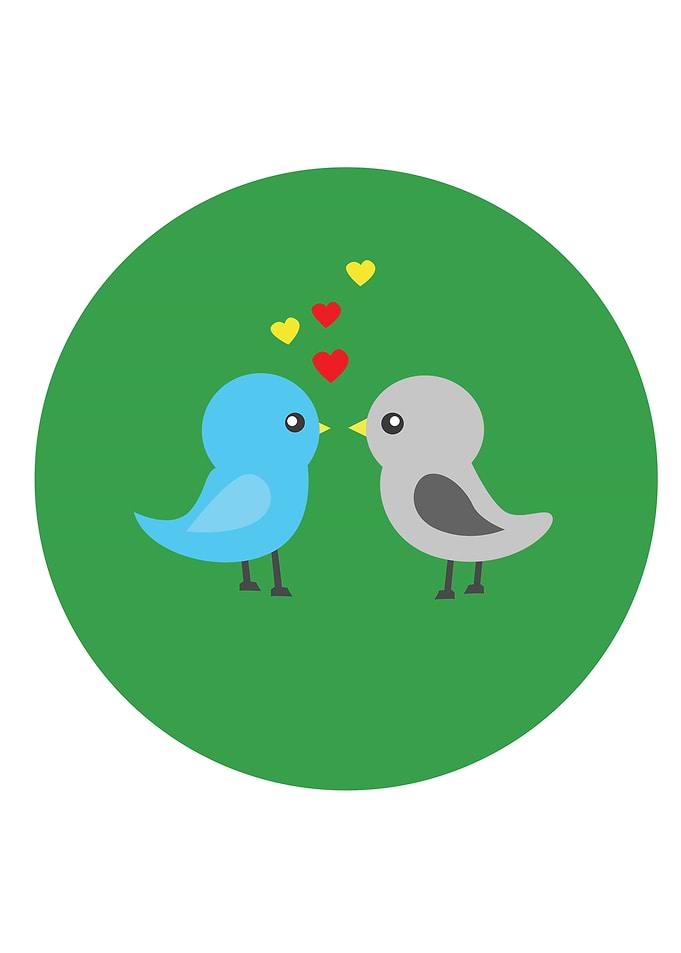 love Bird