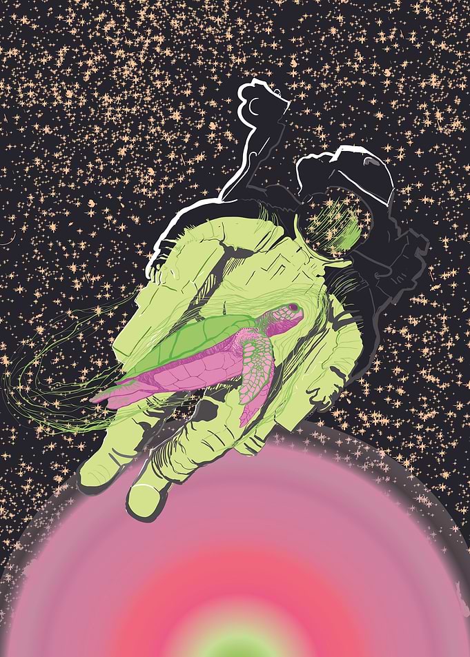 Where is the space rabbit