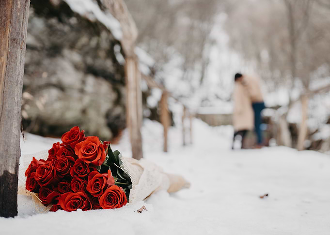 Roses bouquet