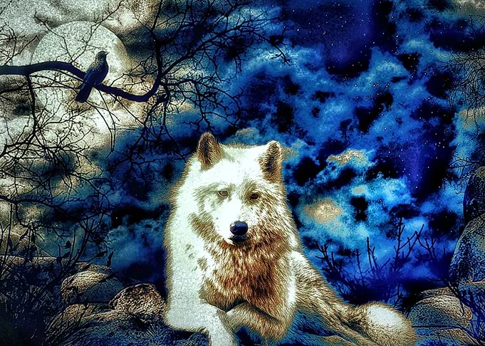 Full Moon
