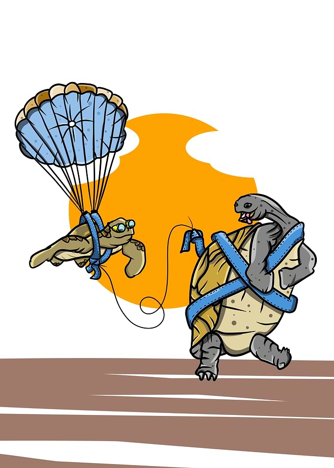 Turtle and tortoise