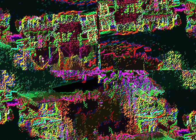 Black Houses Flower