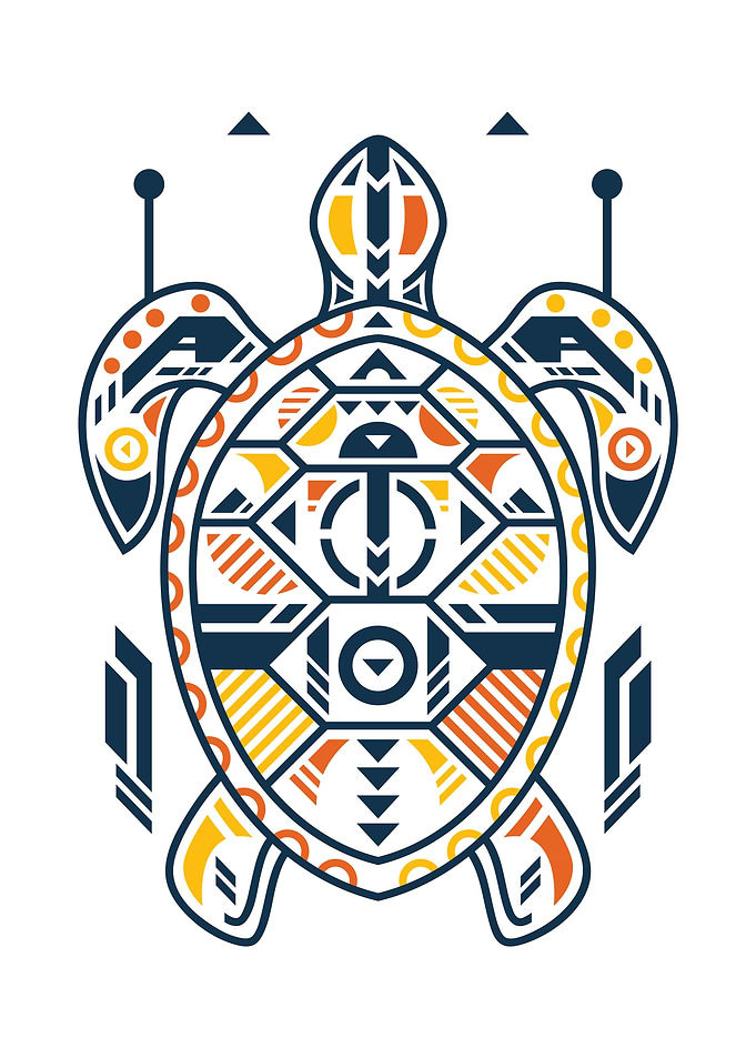 Unique Turtle