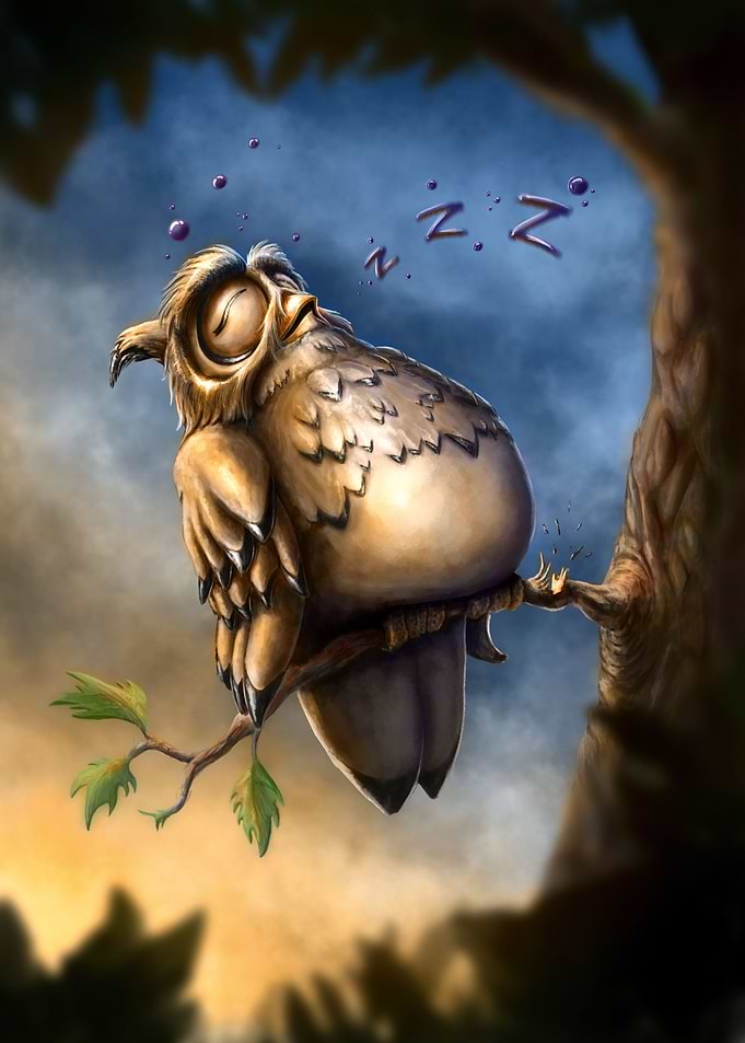 Sleepy Owl
