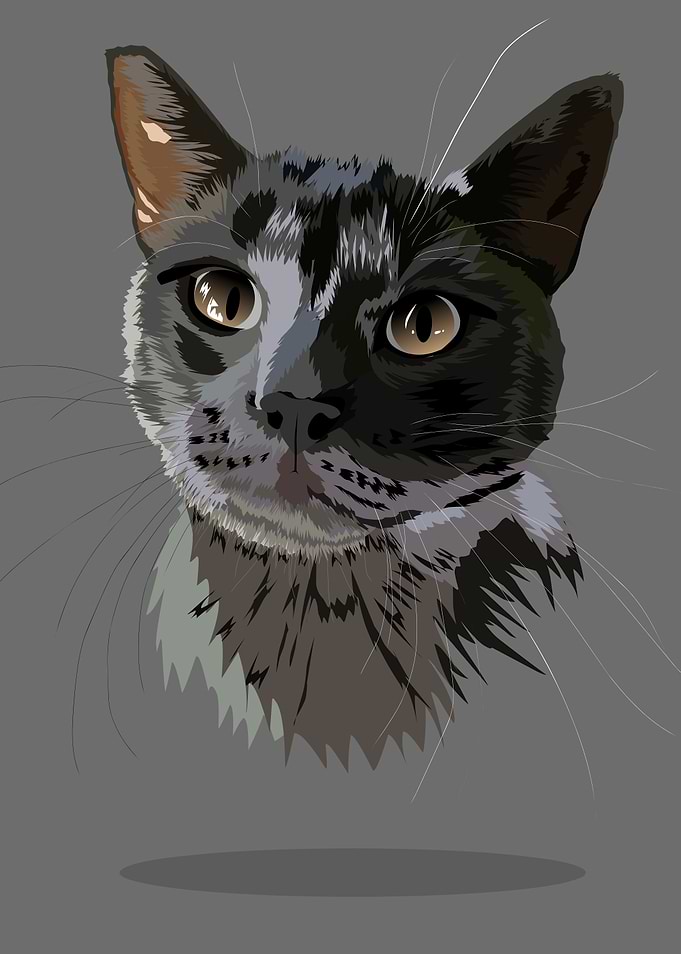 cute cat