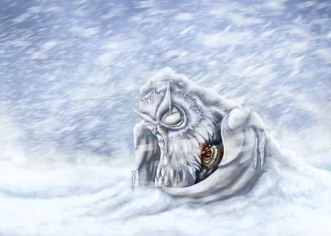 Sacrificing Owl