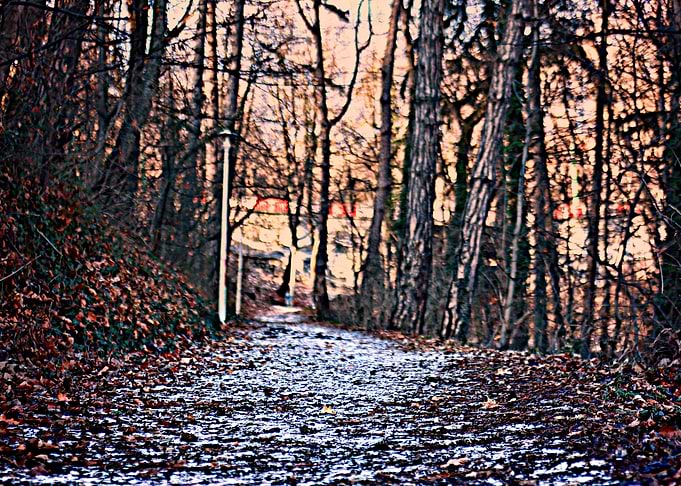 Frozen ground
