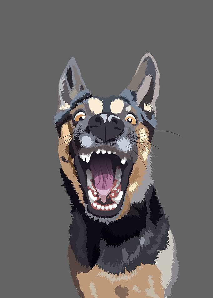cute dog