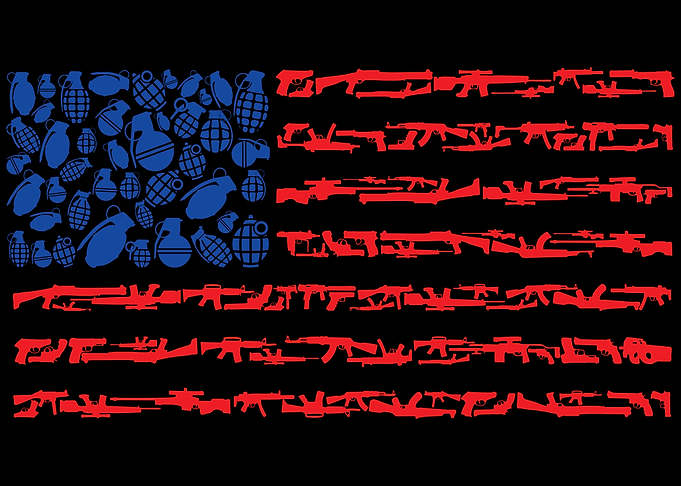 USA Gun Flag