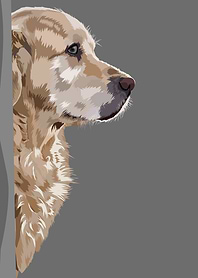 cute dog