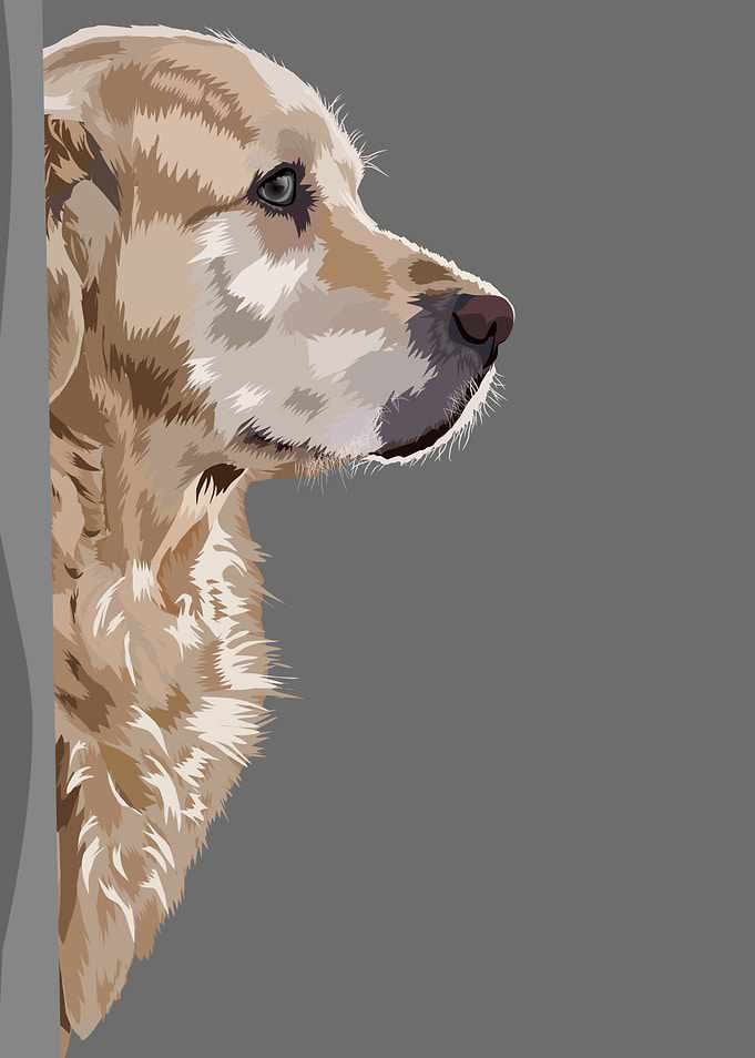 cute dog