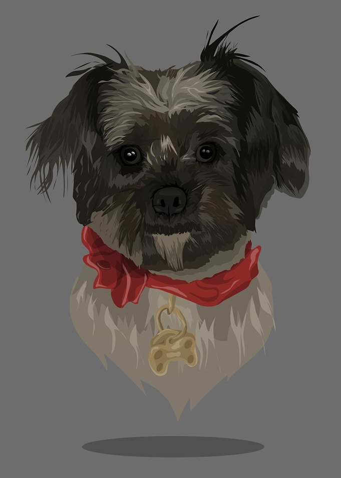 cute dog
