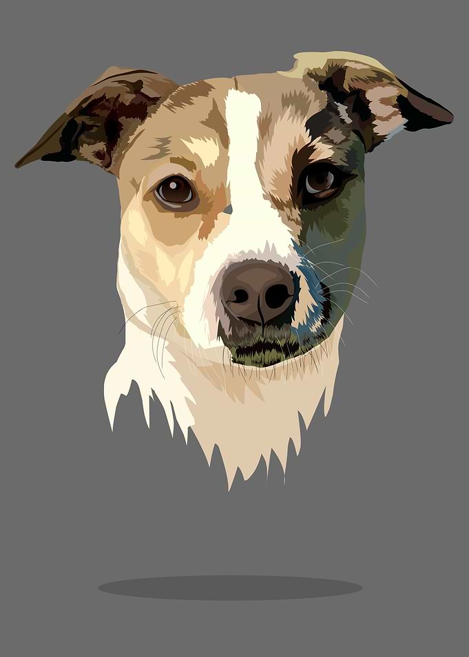 cute dog