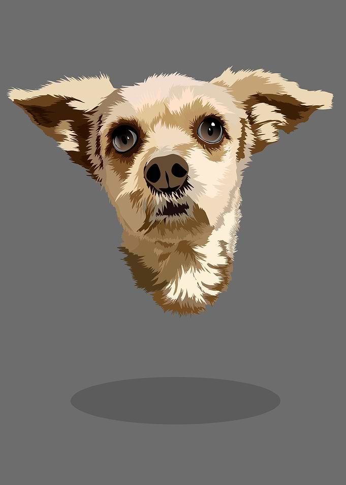 cute dog