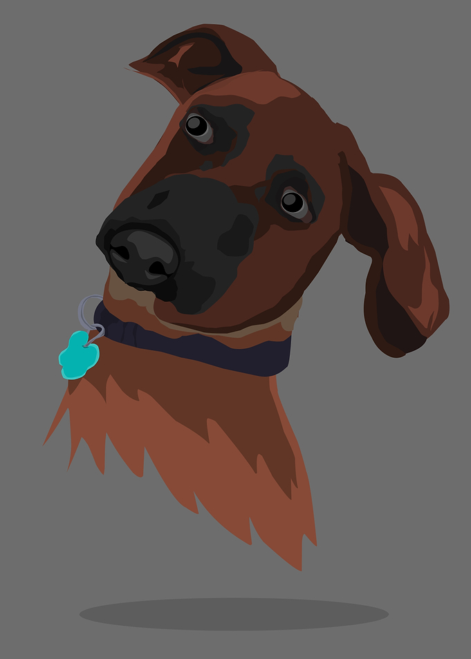 cute dog